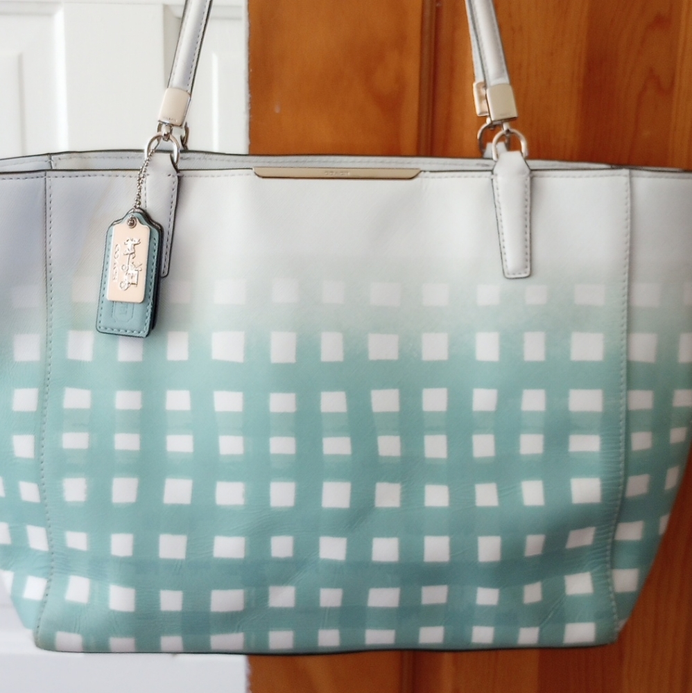 Coach Robin egg blue leather bag